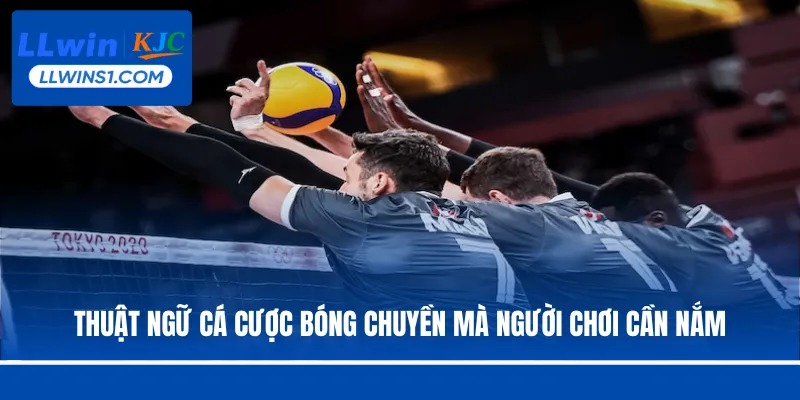 Thuật ngữ cá cược bóng chuyền mà người chơi cần nắm